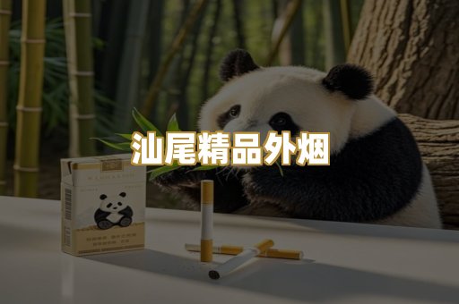 汕尾精品外烟